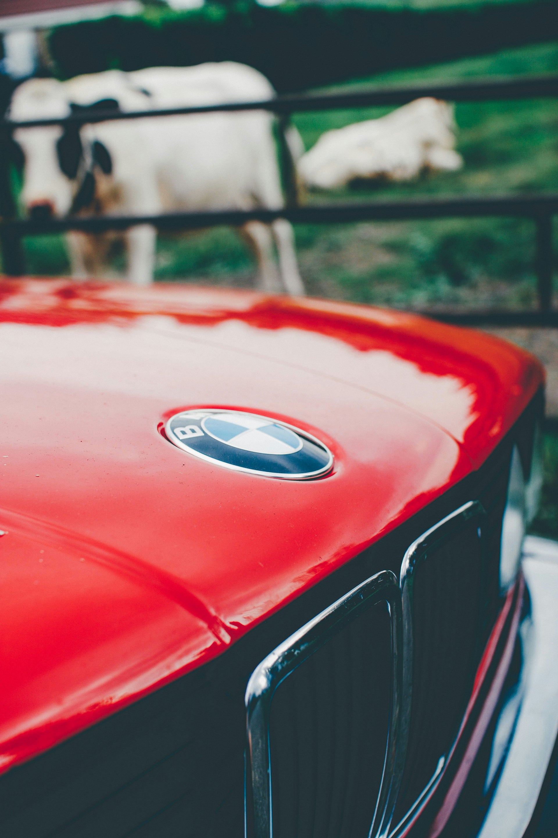BMW Care Made Easy – Cleaning, Polishing & Interior Care